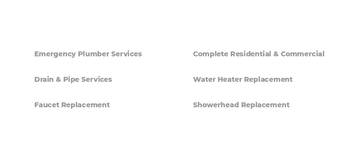 What plumbing services does Home Love offer?
